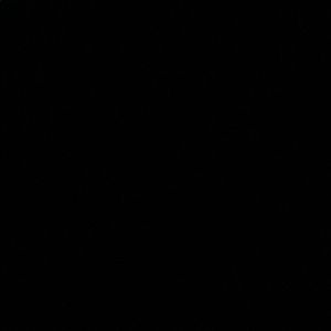 Meet your Posher, Hayden